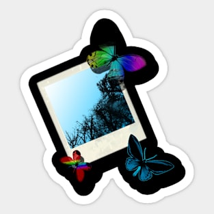 Photographs and Butterflies Sticker